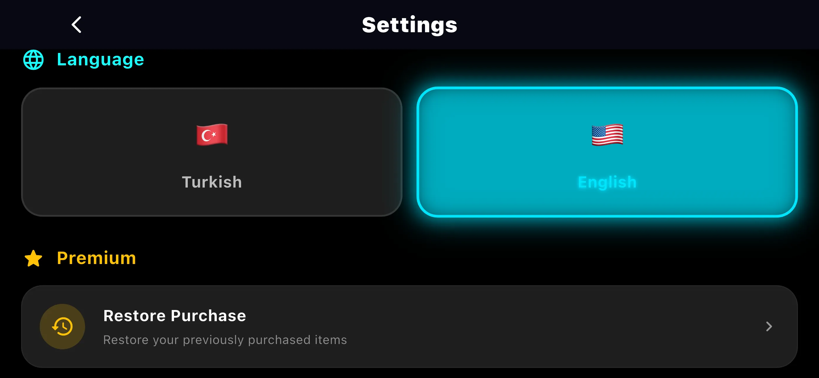 English Screenshot 8